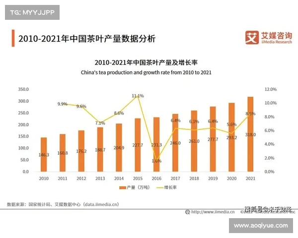 归化国脚面临的三大挑战与未来发展趋势分析